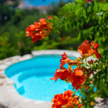 Maro * Agios Stefanos Kassiopi